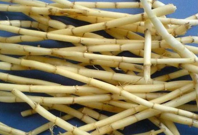 记忆中的岁月,把当兵时美好的日子留在记忆里