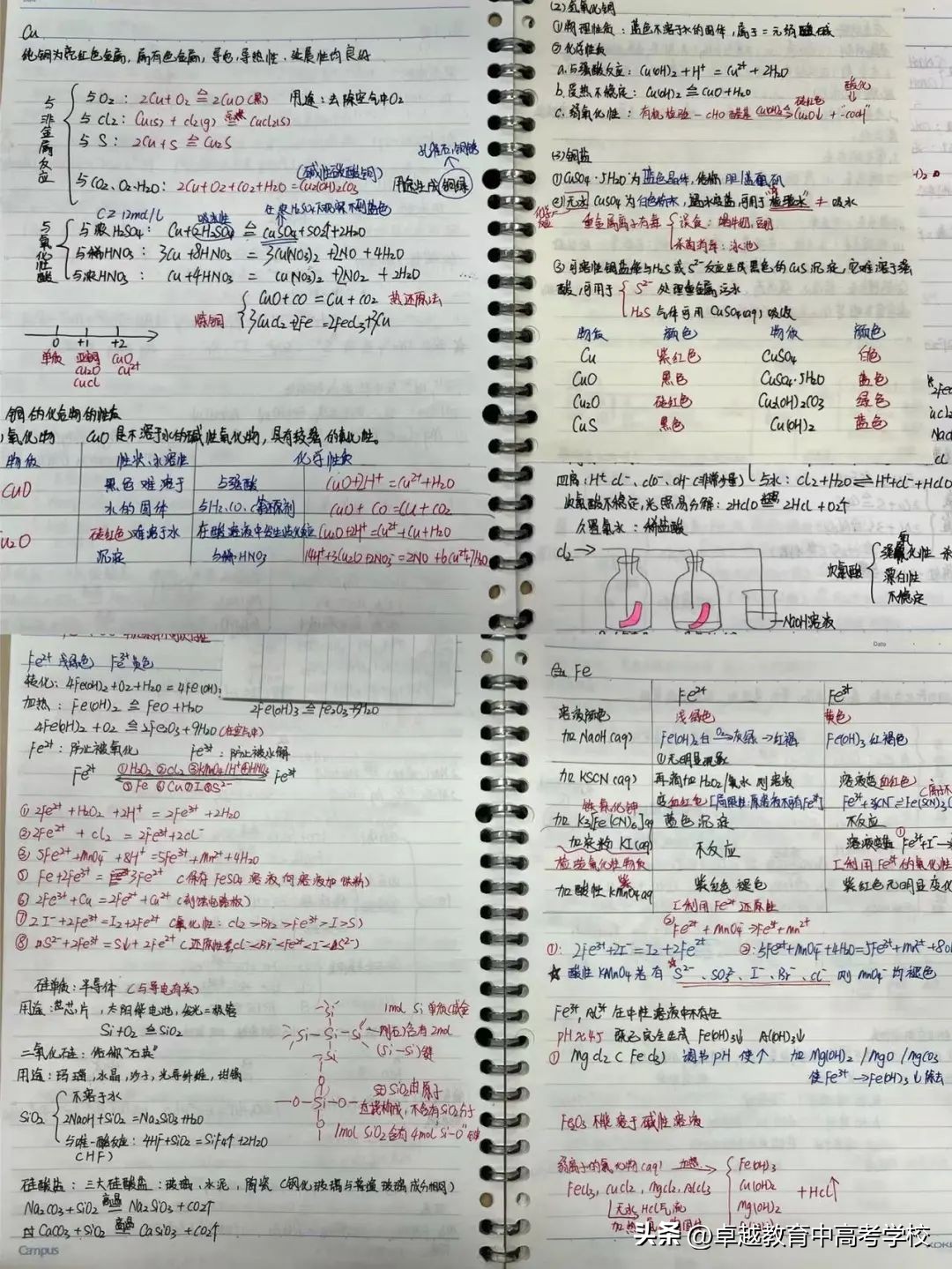 这些高考生的笔记太卷了！脉络清晰的笔记，让学习更游刃有余