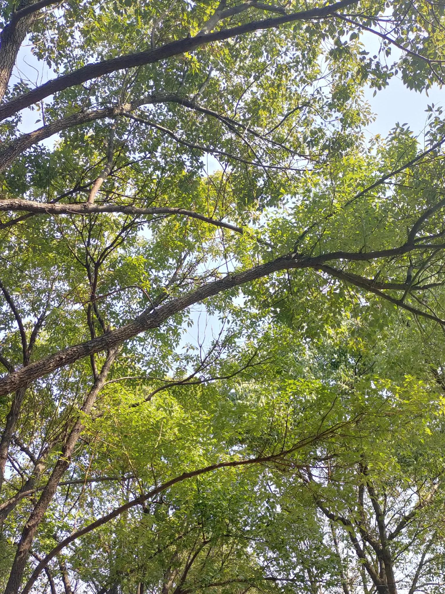 合肥旅游景点大全排名榜前十名,合肥市区旅游攻略必玩的景点