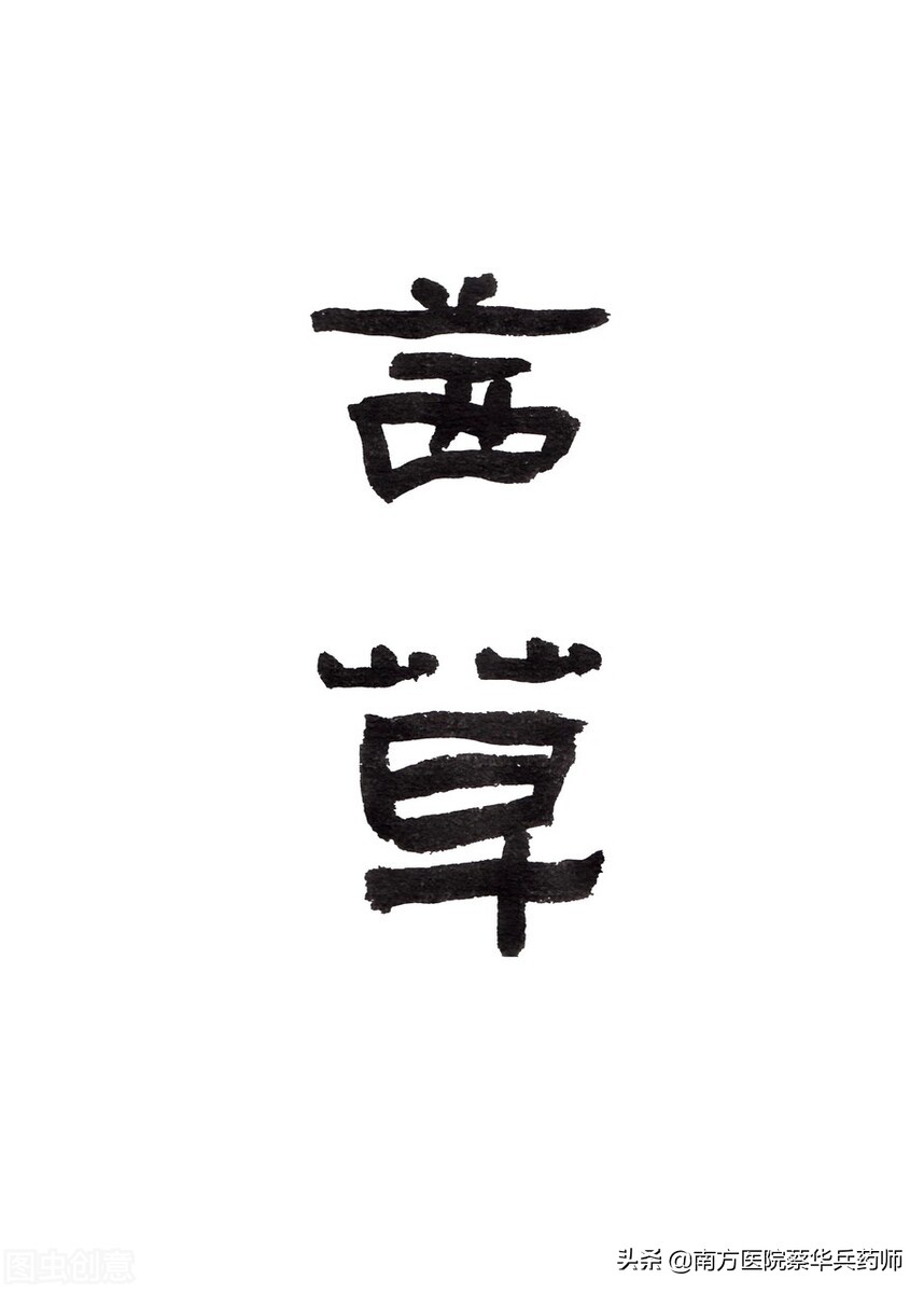 人称血见愁，它能抗肿瘤；活血止血是一流，风湿关节痛无忧