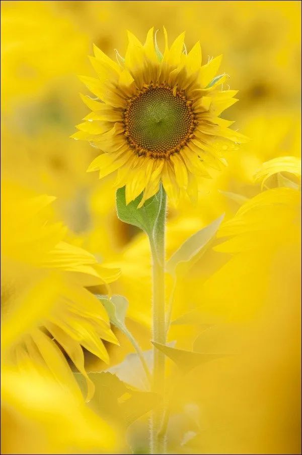 100幅经典摄影作品欣赏,100幅精品摄影图