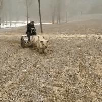 地铁遇到最美的阿姨抖音,坐地铁遇到最漂亮的阿姨