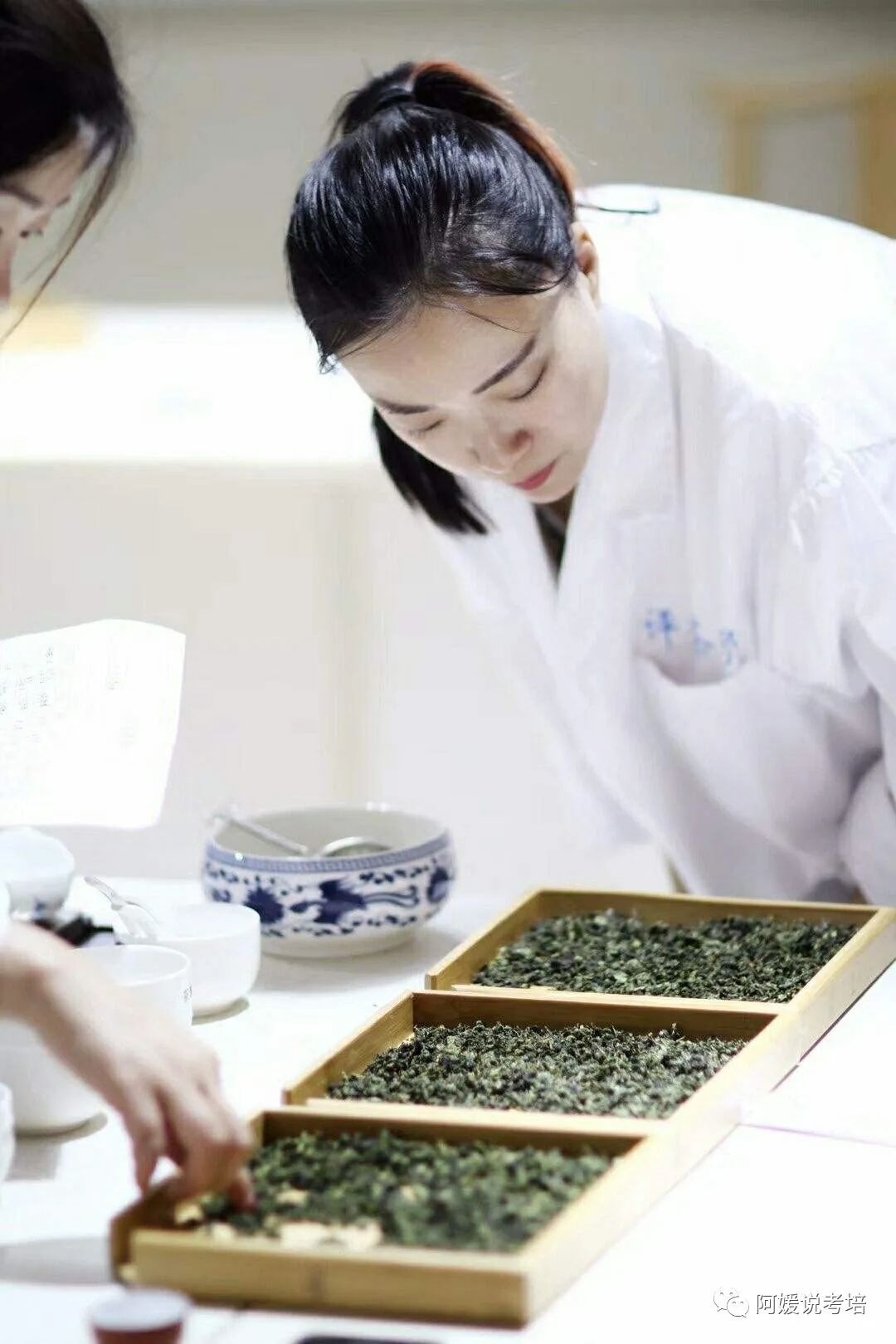 评茶员职业技能证书培训,评茶员属于专业职业技能证书吗