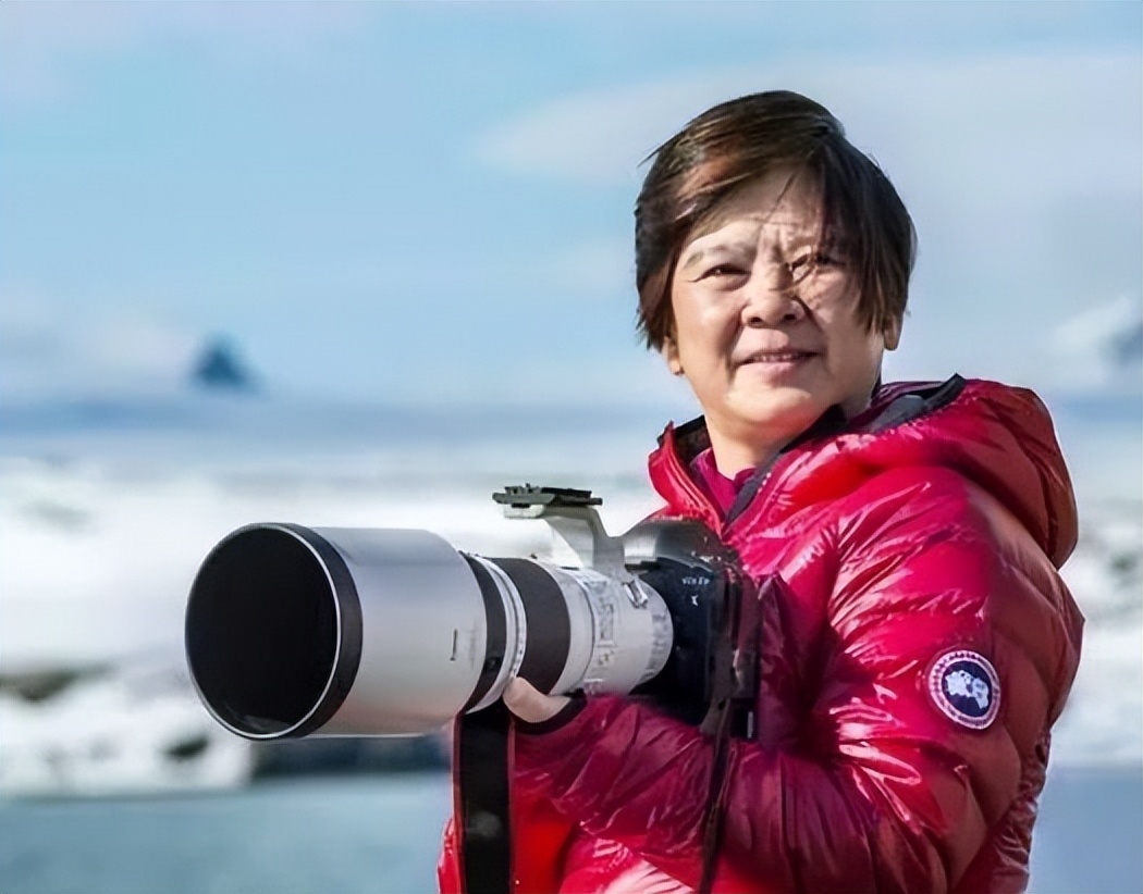 佳源房产沈天晴,佳源股票最新消息