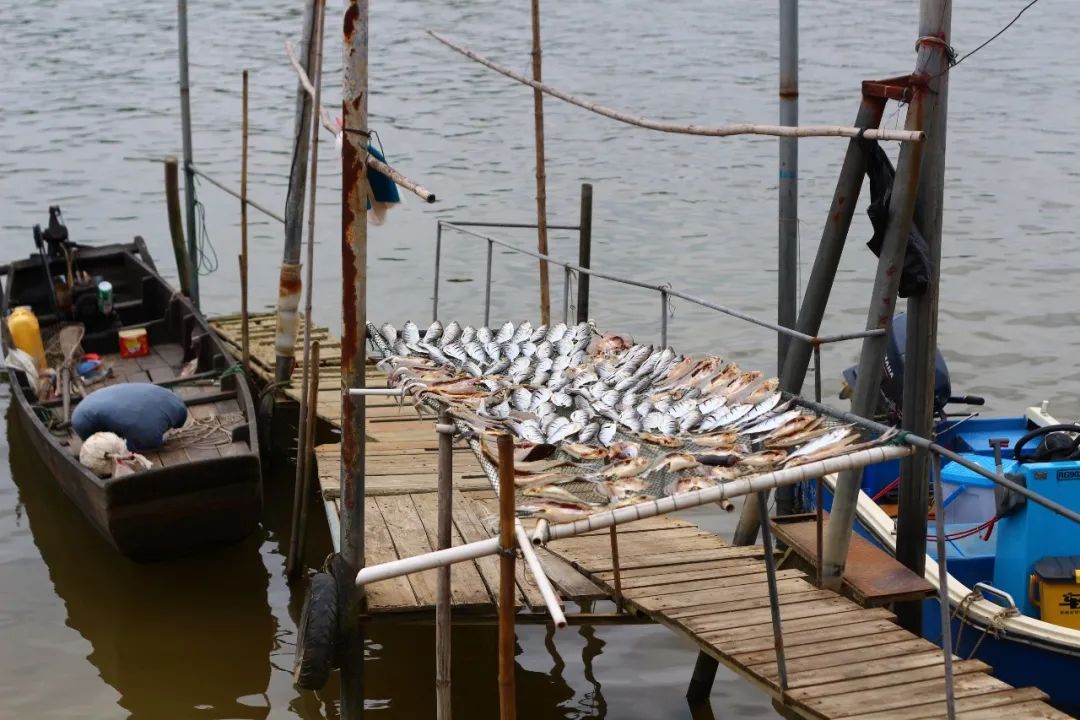 广东江门自由行攻略,广州去江门上川岛旅游攻略