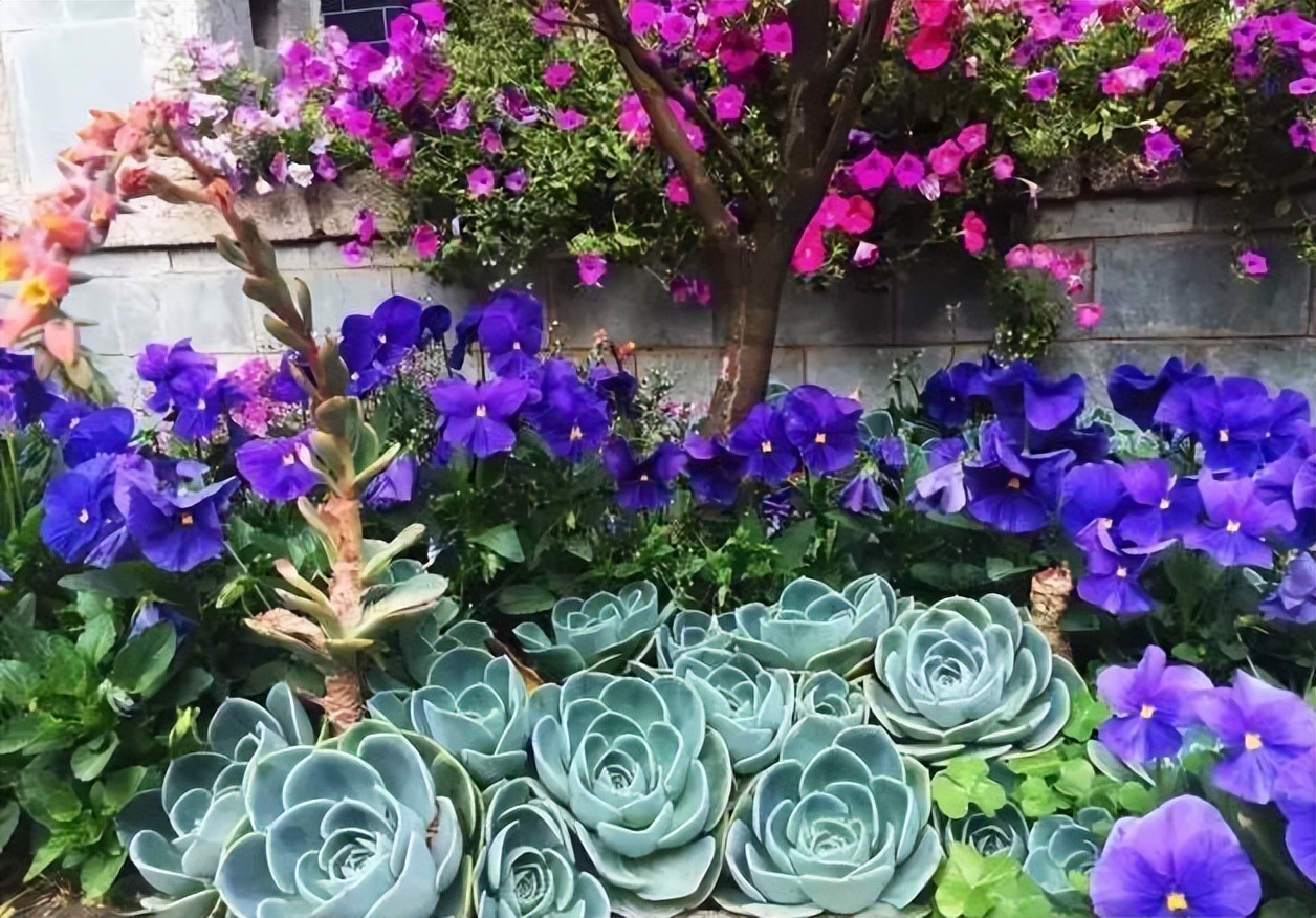 大理打卡的拍照圣地,大理旅游打卡攻略一日游推荐