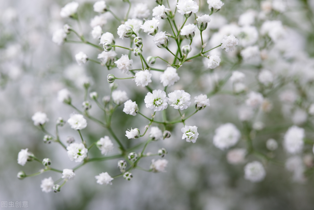 总有一场相遇让你眷恋一生,一场相遇却要用余生去忘记