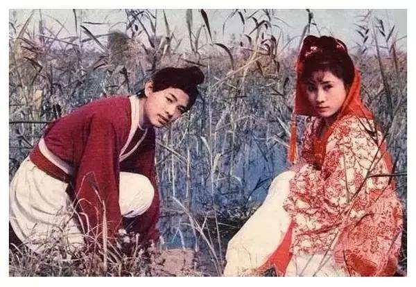 少林寺李连杰丁岚主演解说,关于少林寺丁岚与李连杰剧中简介