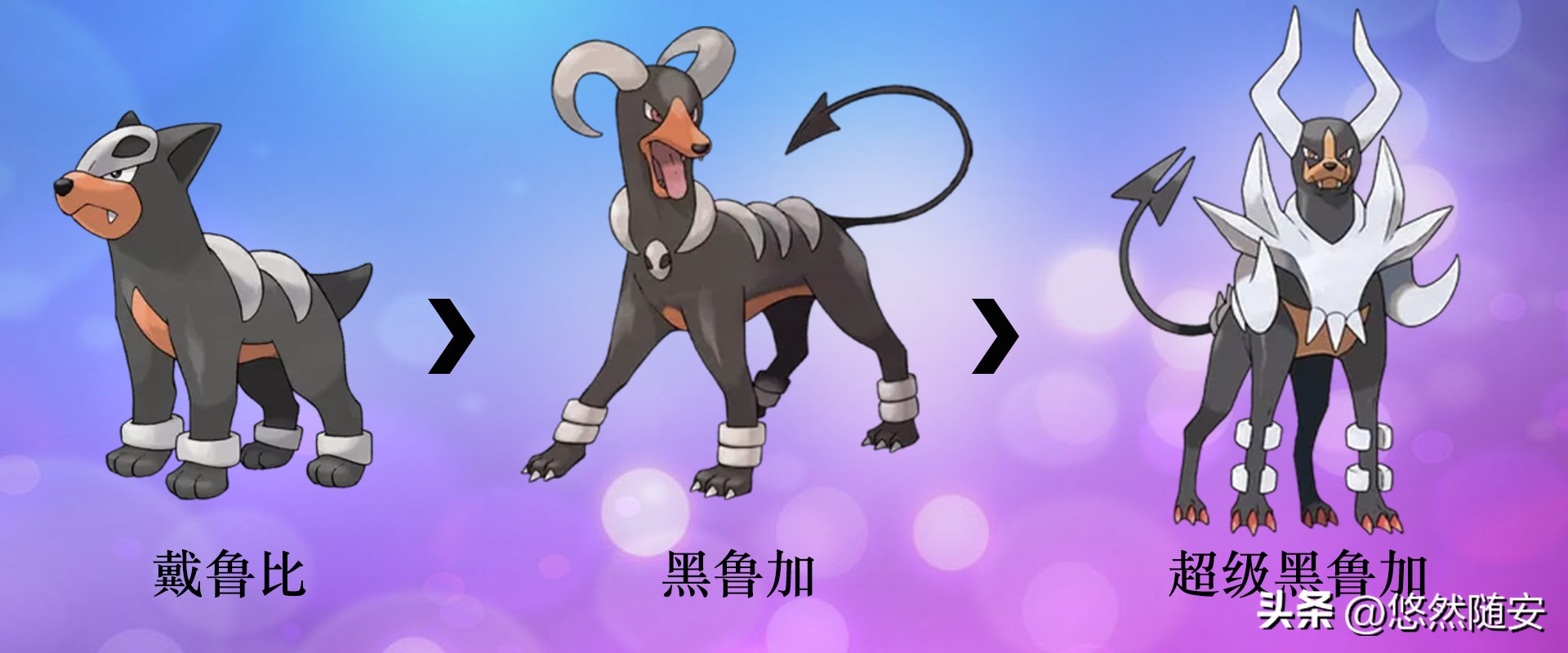 宝可梦伊布全部进化形态,宝可梦剑盾泪眼蜥进化形态