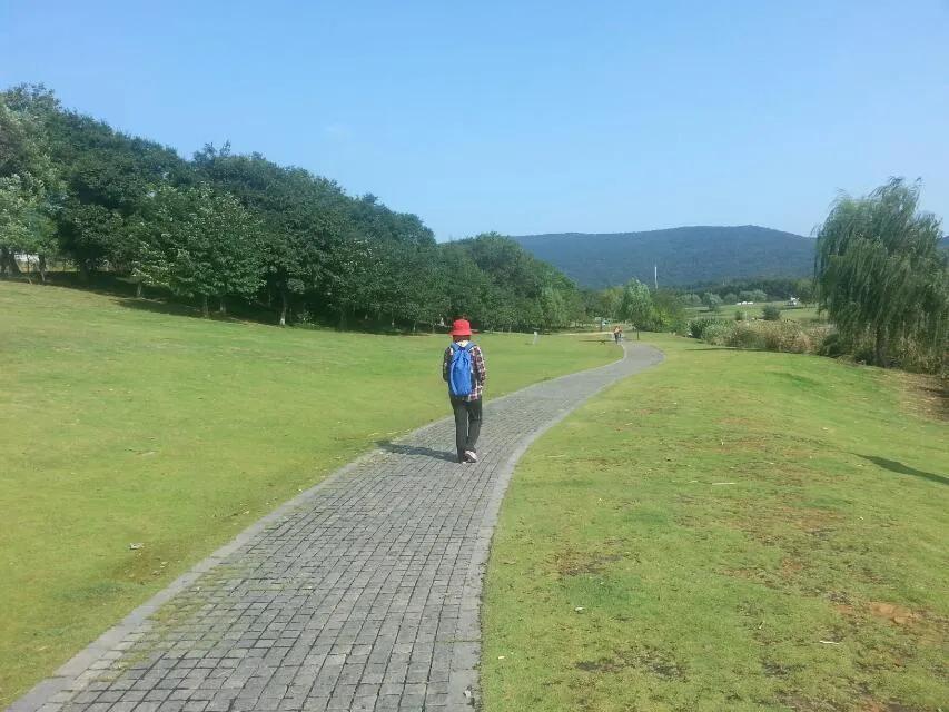 南京旅游攻略最详细攻略,南京旅游自由行详细攻略