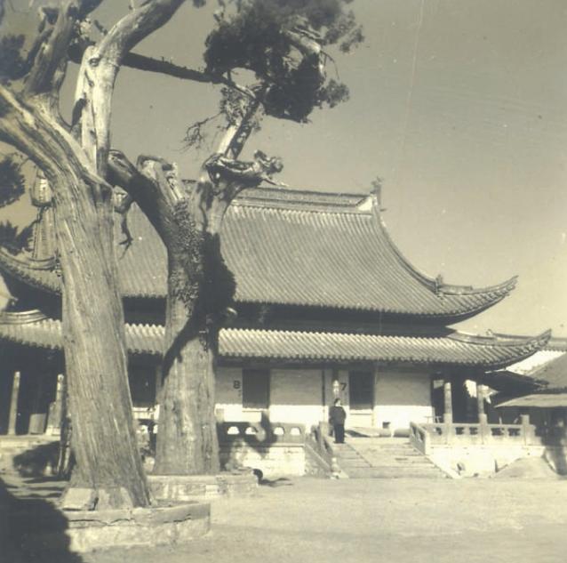 毛主席游孔林，突听“砰”一声响，他问孔子后人：这里常打枪吗？