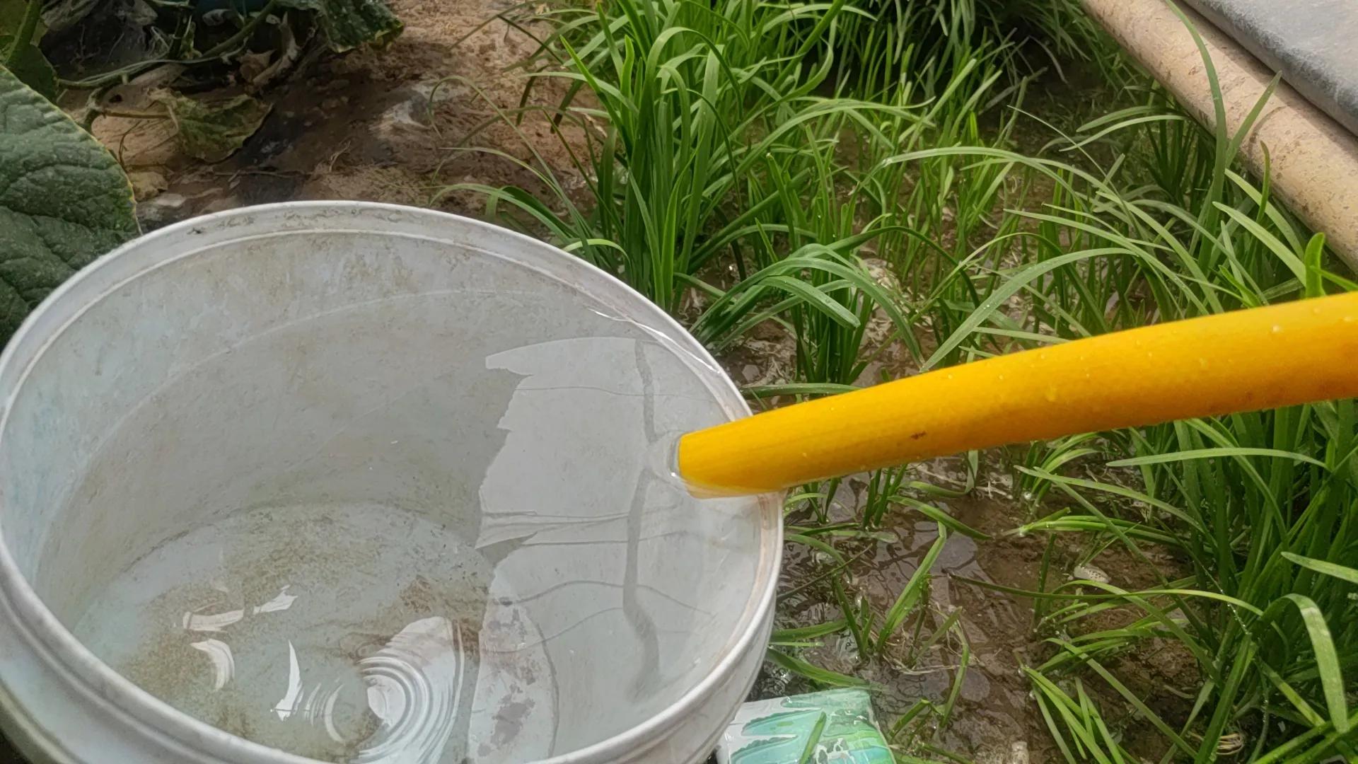 一招解决土壤板结的烦恼,多肉土壤板结发硬怎么办