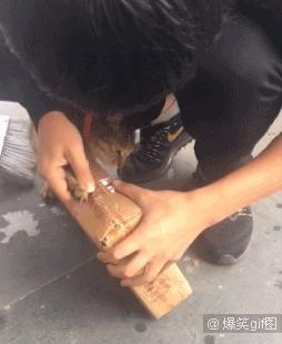 单身狗慎入合集国漫,单身狗慎入高甜预警