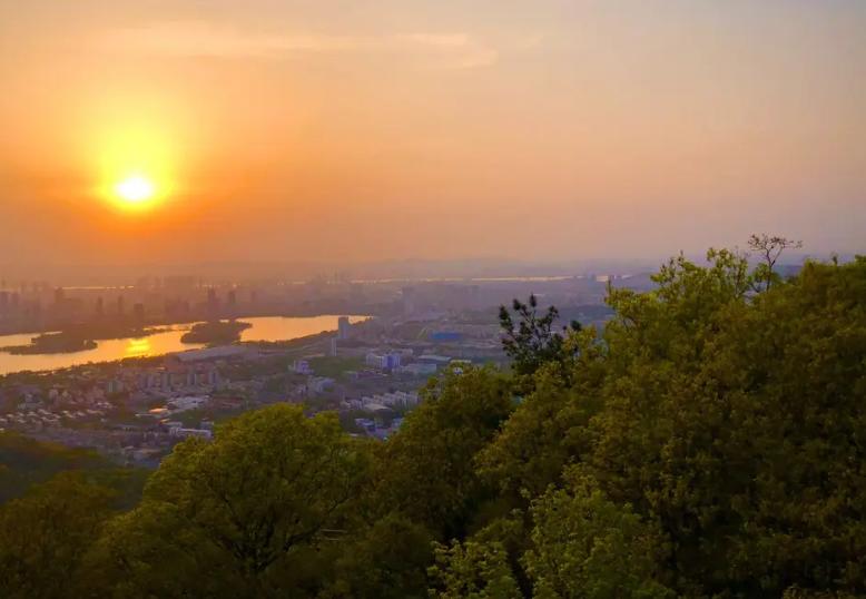 南京是国家区域中心城市吗,南京市属于国家中心城市吗