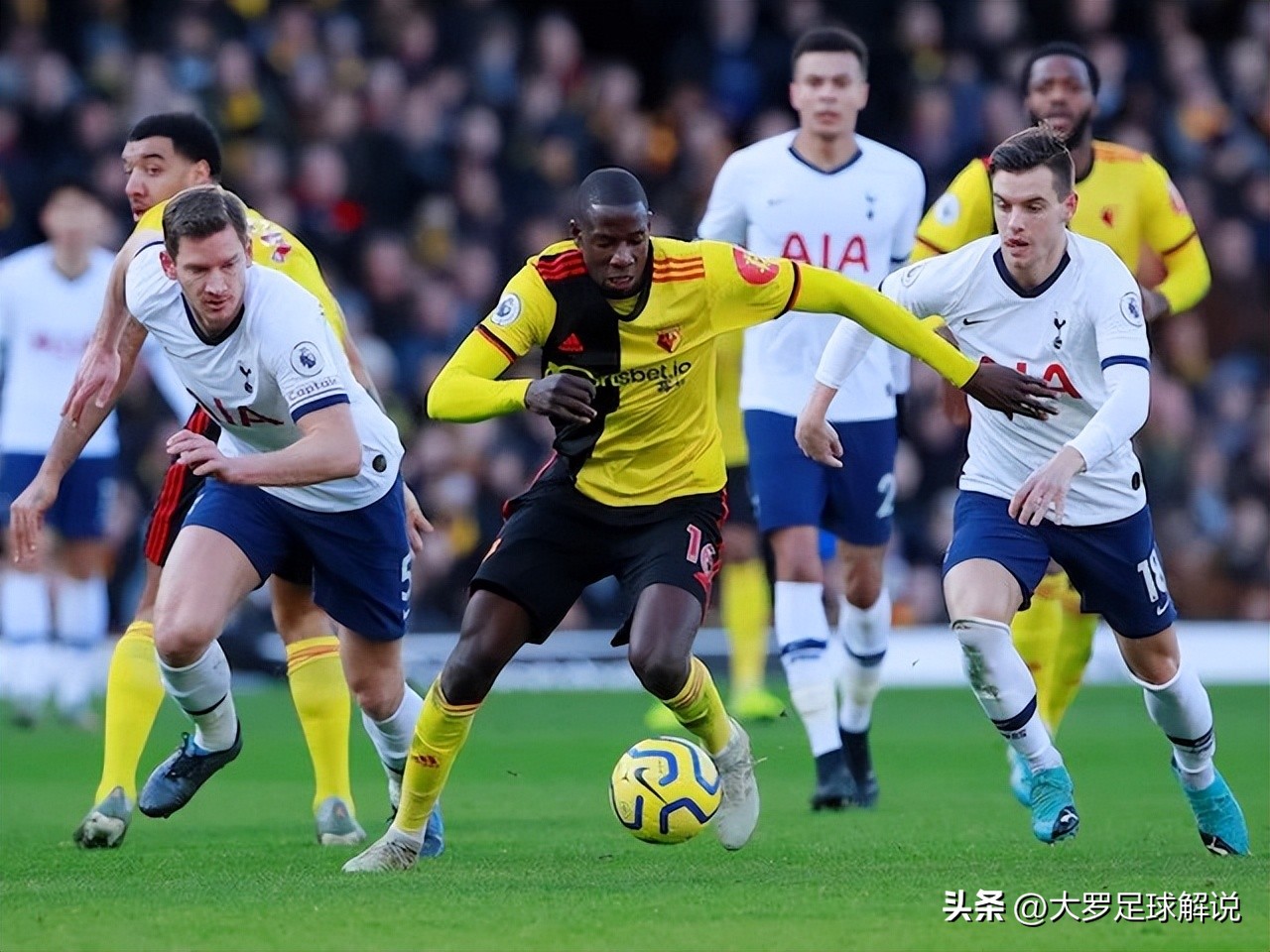足彩富勒姆对莱切斯特预测,北单推荐富勒姆vs曼彻斯特联