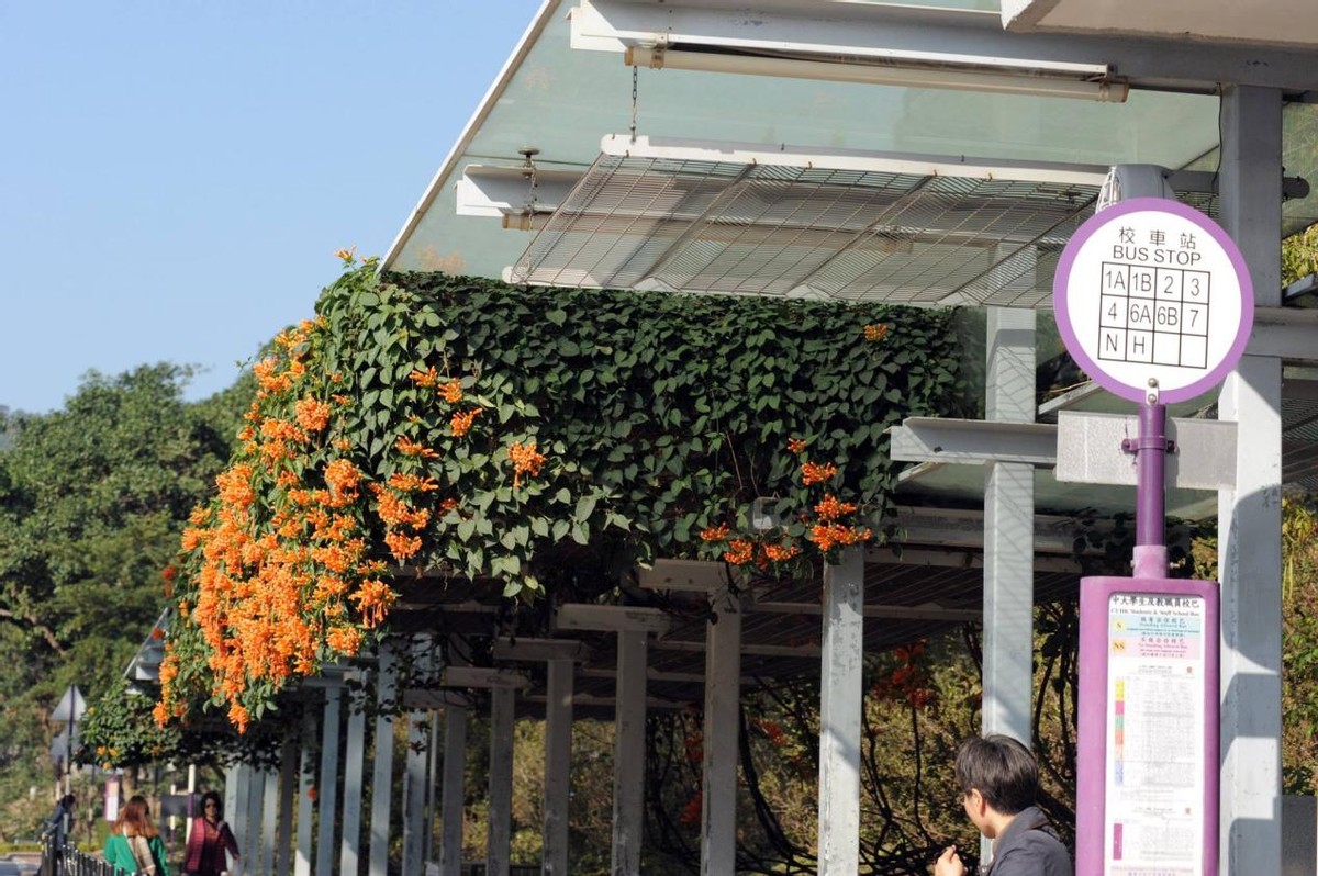 香港大学商学院第二轮发offer,香港中文大学商学院大一新生入学