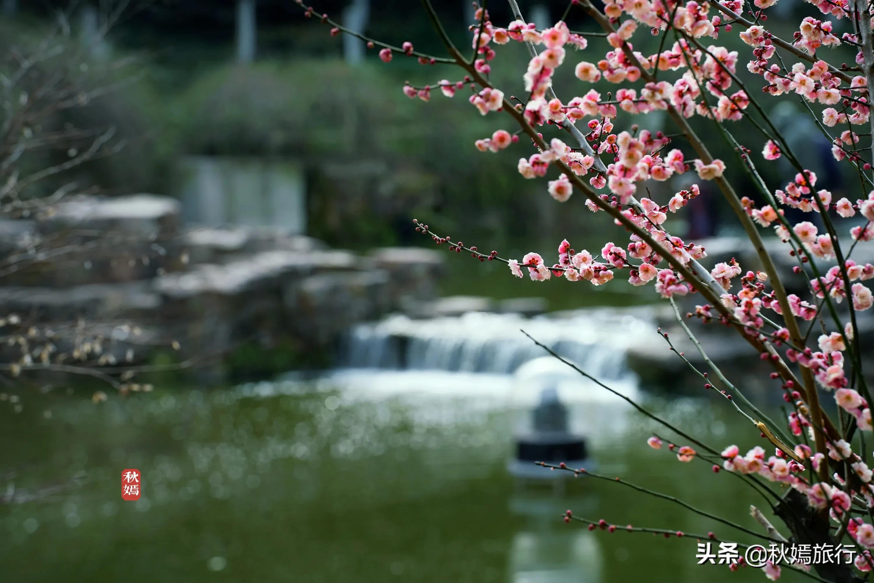 春染虎丘图片,虞山脚下的美丽小城常熟风景