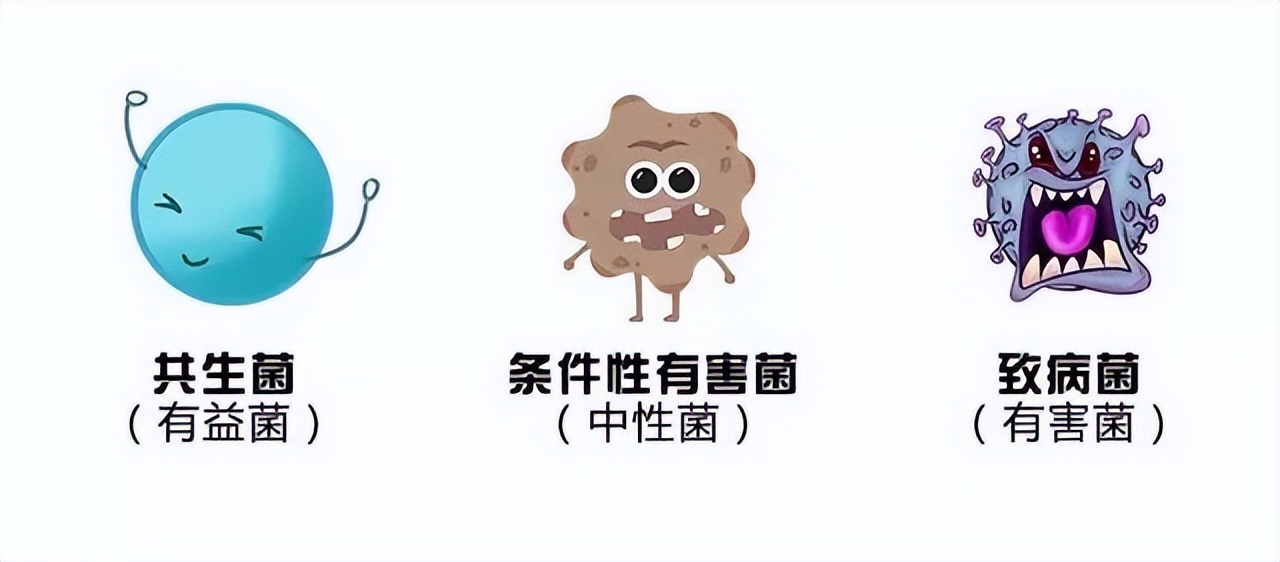 我们的肠道有多脏看完吓一跳,肠道有多脏胆小者勿入