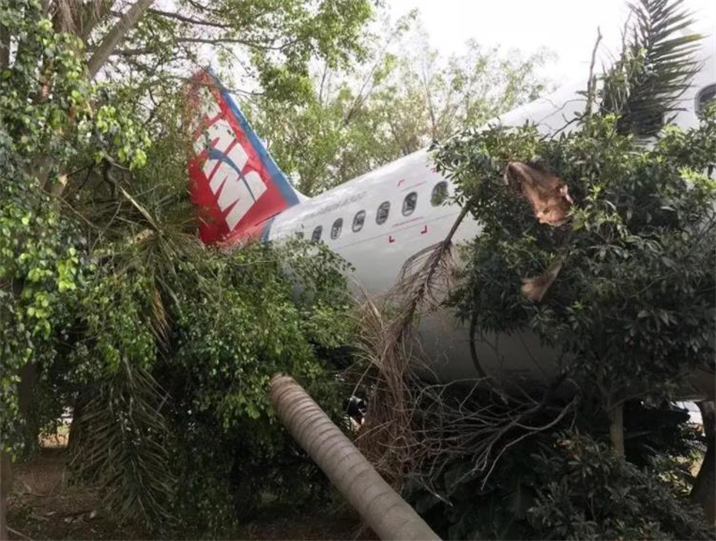 1981年苏联飞机失事幸存者,苏联飞机坠落真实事件