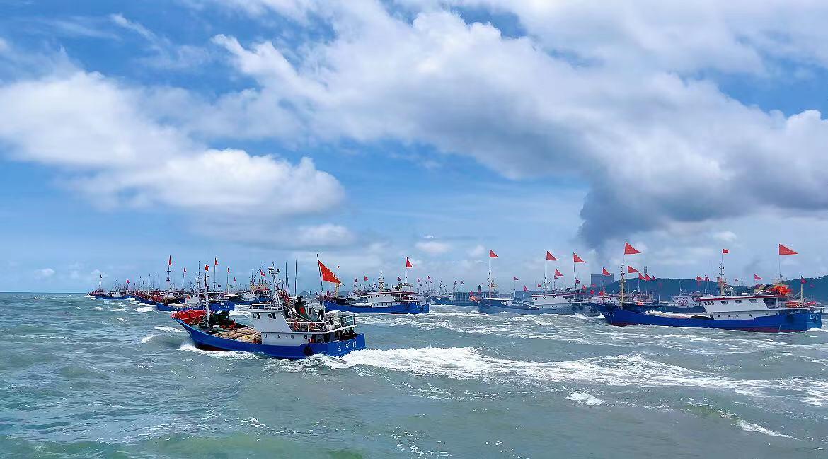 海边的你知道什么是流网.张网吗？聊聊宁波的流网作业和张网作业