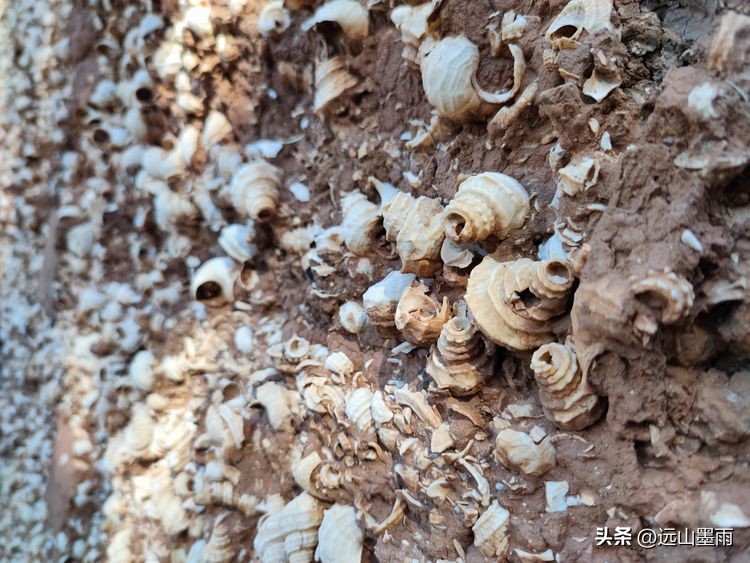 云南昆明滇池小渔村展新颜,滇池边的小渔村