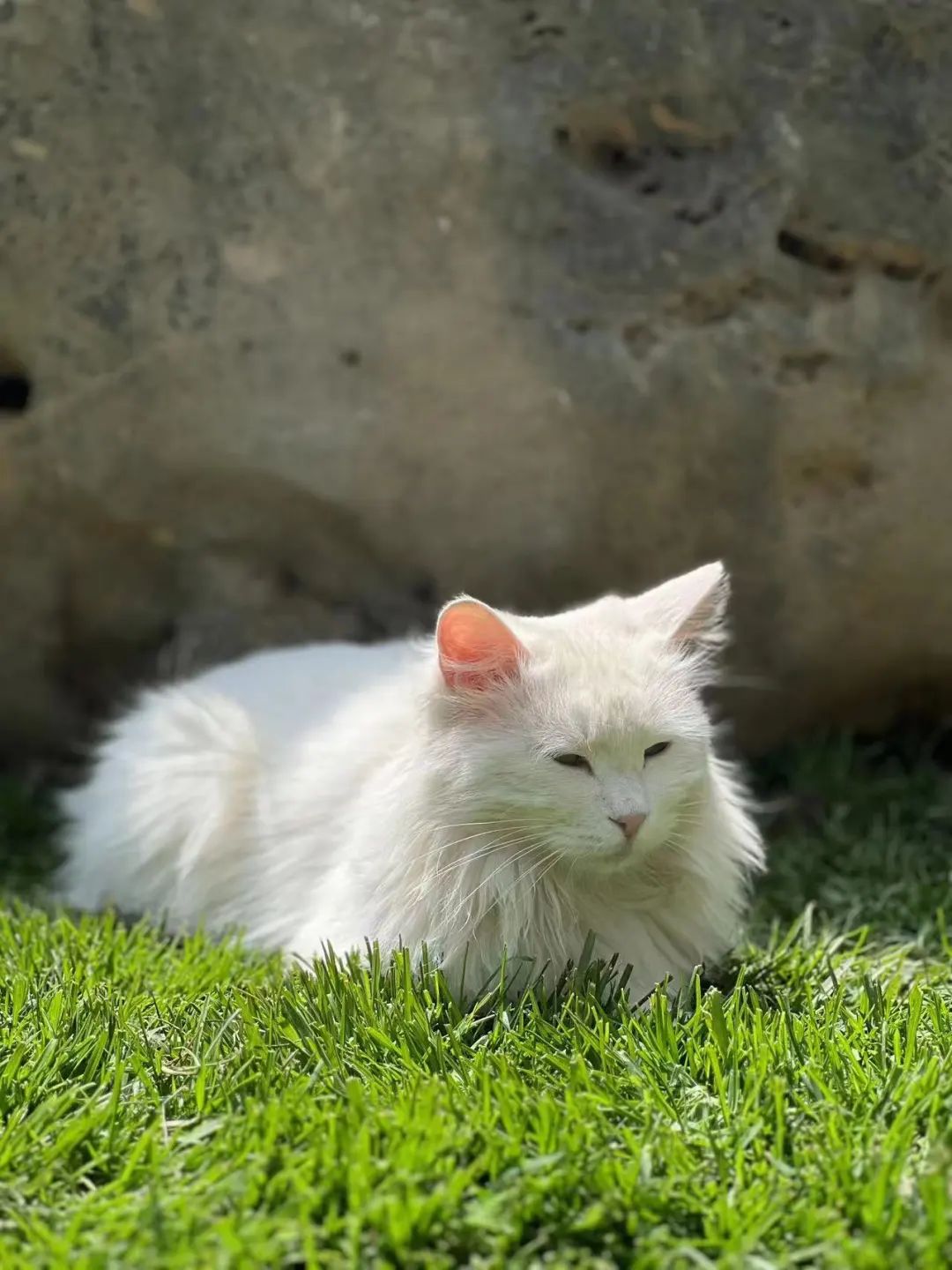 赵明明：上班摸鱼，是我的梦想!