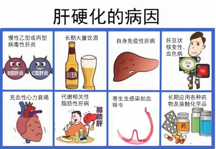 肝硬化失代偿再代偿有什么表现,肝硬化失代偿期能逆转成再代偿吗