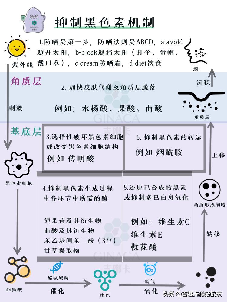 怎么美白皮肤最有效方法是什么,怎么美白皮肤的小妙招