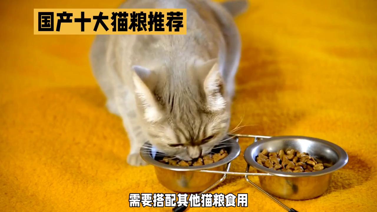 进口猫粮和国产猫粮,国产猫粮好还是进口猫粮好