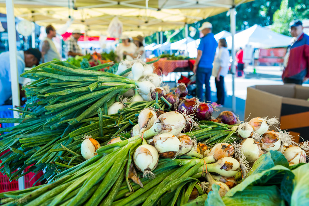 大葱种植业赚钱吗,大葱种植致富经