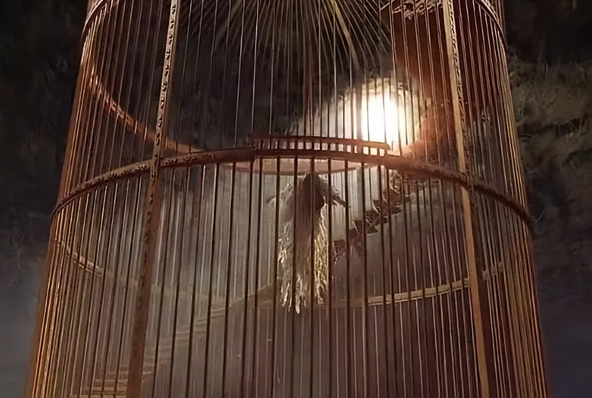 外国姑娘告诉我，模特这行不好做，全靠背地里干兼职