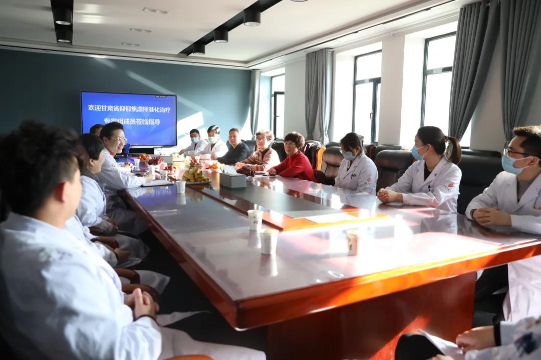 甘肃中医药大学第四附属医院甘肃宝石花医院迎接甘肃省焦虑抑郁障碍标准化治疗专家组质控工作