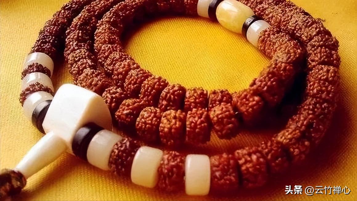 小金刚菩提子新手篇,小金刚菩提子讲解