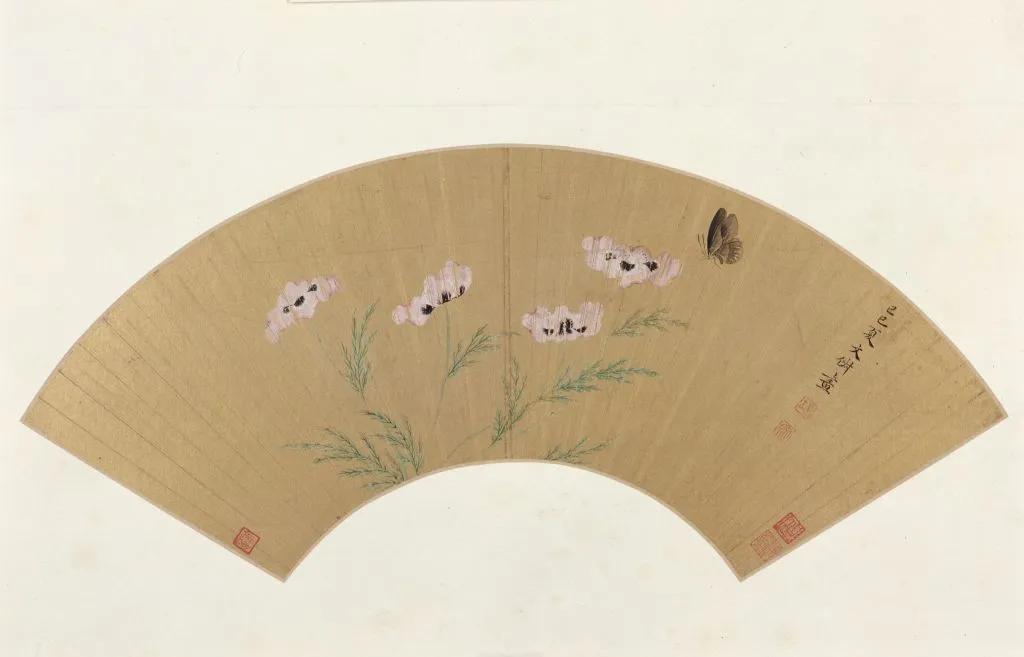 每种蝴蝶的寓意和象征,院里飞来一只黑花蝴蝶什么寓意