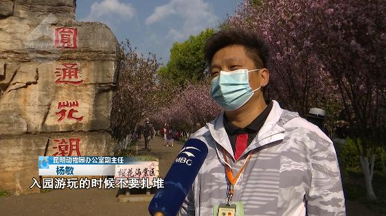 昆明春暖花开解锁春日美景好去处,春暖花开踏青好去处