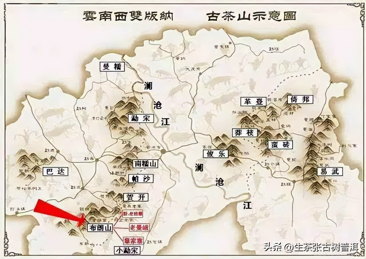 布朗山熟茶苦涩吗怎么喝,布朗山普洱茶苦的原因