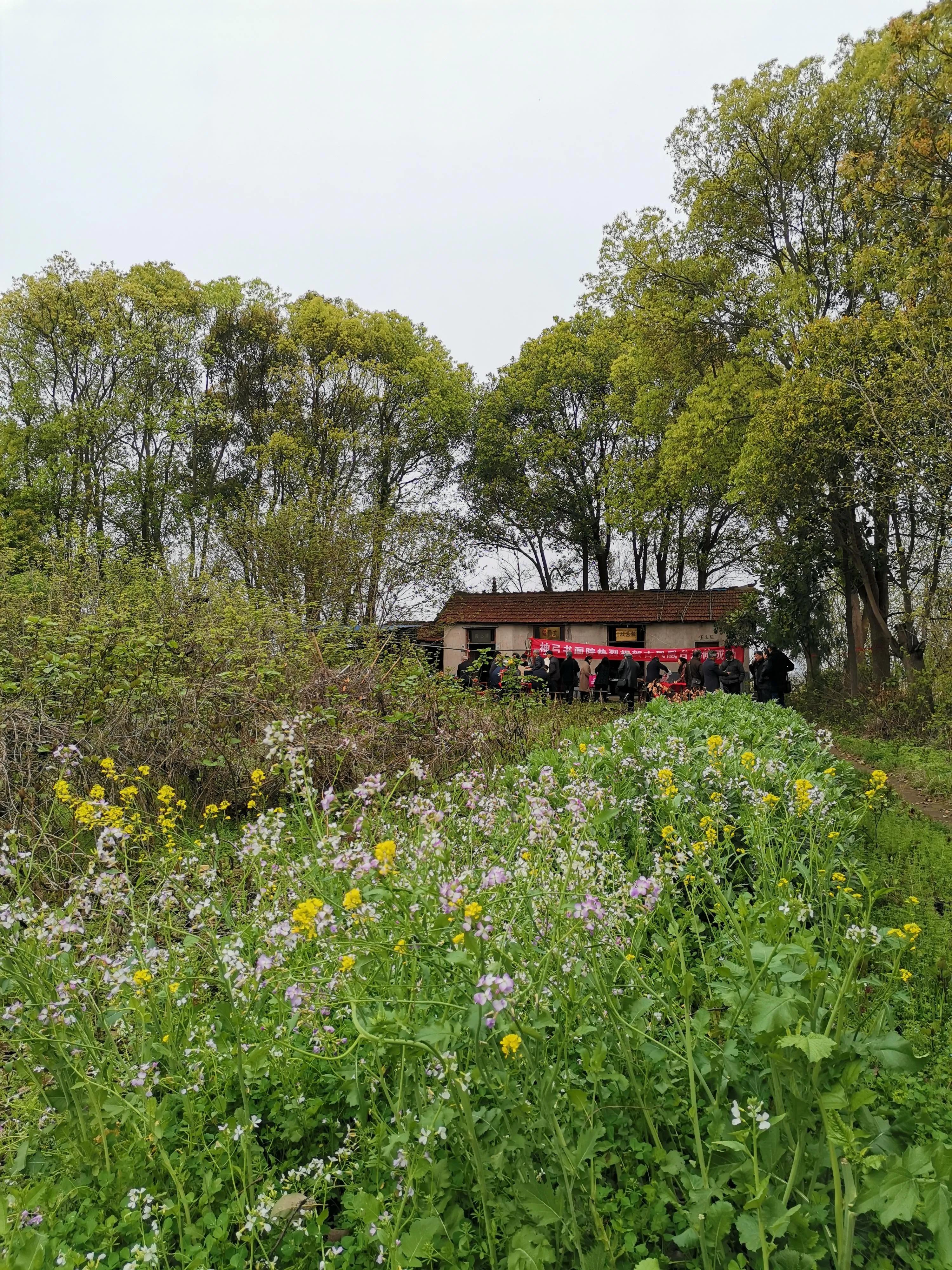 凤凰台上悬明月，同照今人与故人