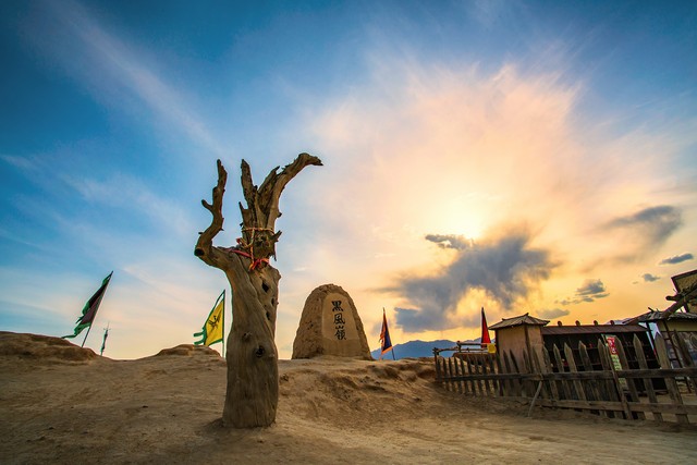 正宗宁夏红枸杞风景,宁夏红色枸杞