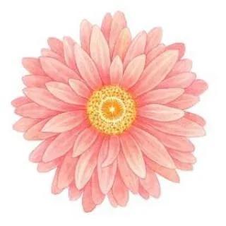 产后修复盆底肌凯格尔运动广告,凯格尔运动是产前还是产后做