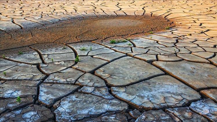 淡水会加剧土地盐碱化吗,淡水能导致盐碱化吗