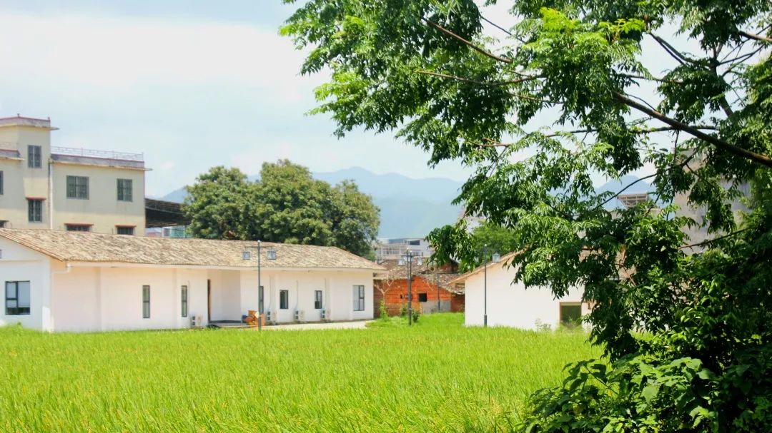 拍照好看民宿附近,拍照好看的民宿酒店