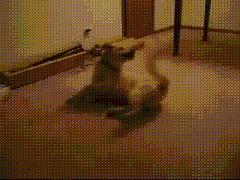 soundsleep是什么意思,soundsleep