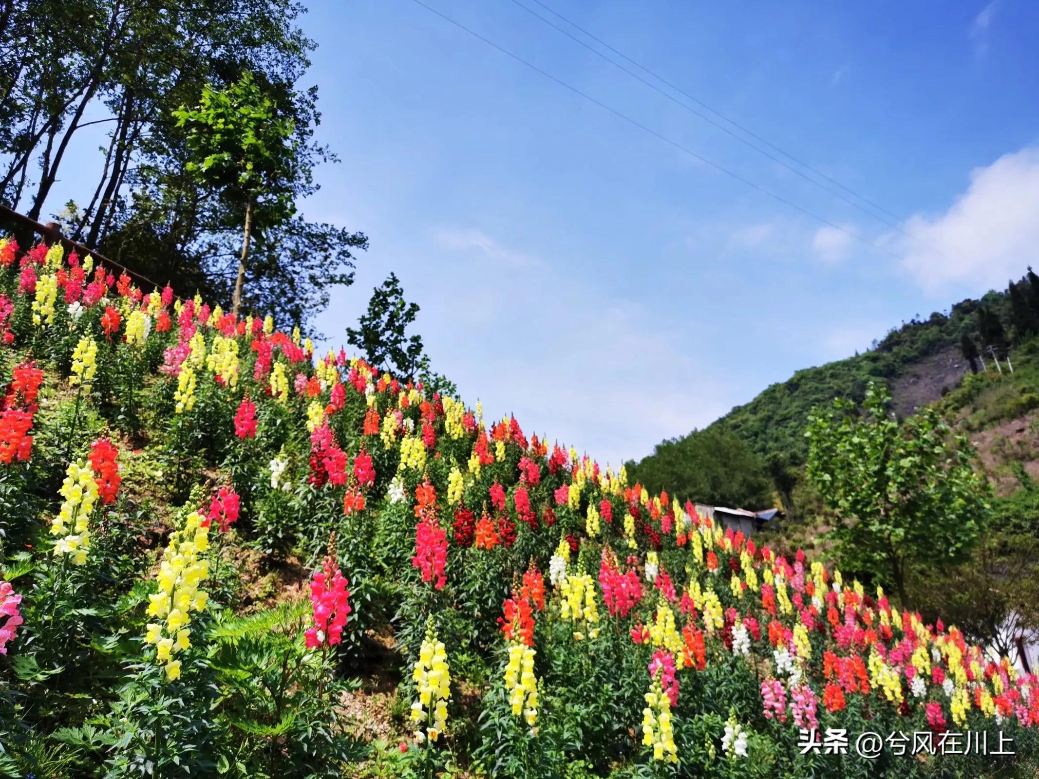 川西峡谷世外桃源,川西最美山谷