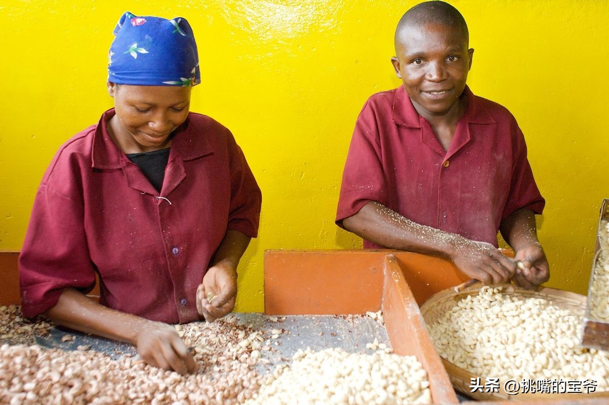 建国首日就与我国建交的非洲穷国，8种罕见水果，你见过几种