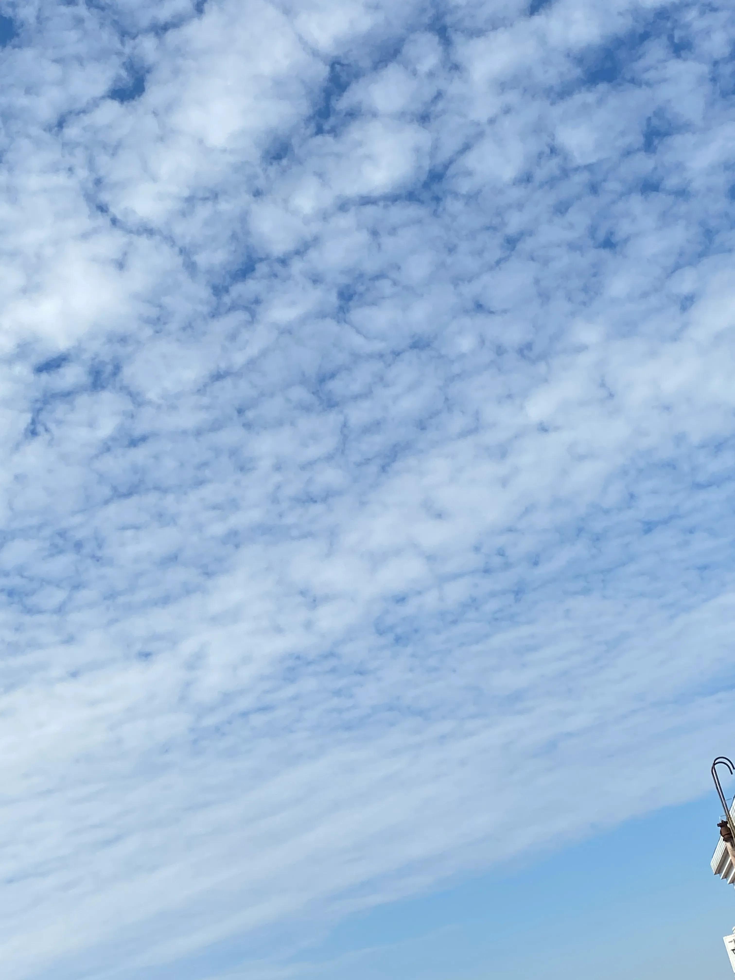 脑梗记忆力减退反应迟钝怎么恢复,脑梗记忆力