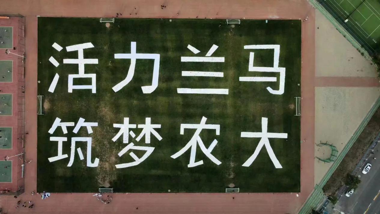 2023兰州兰马马拉松路过城关吗,2023兰州兰马马拉松全程起终时间