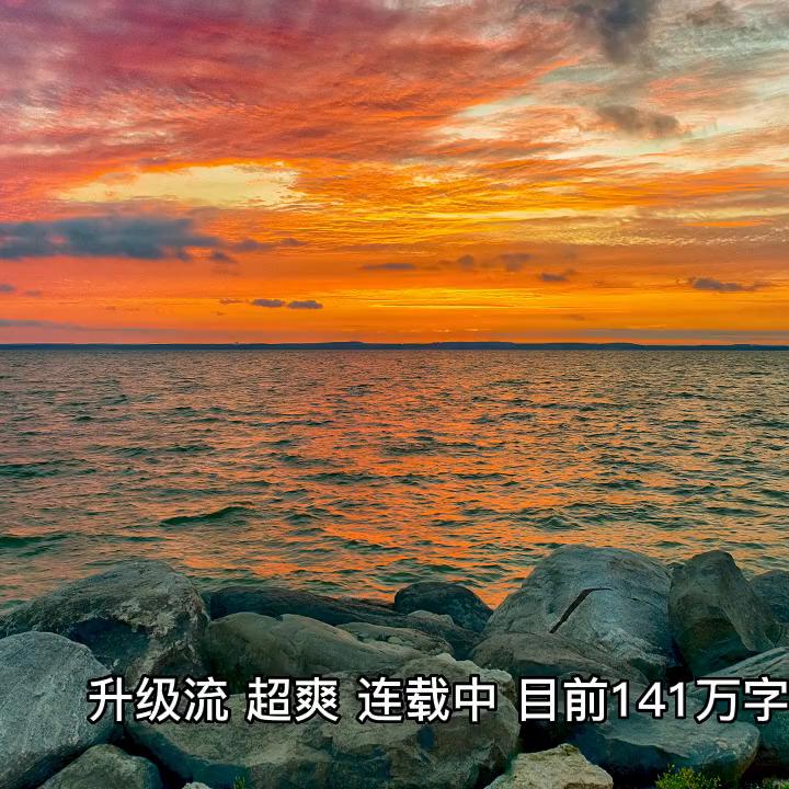 拯救书荒app,拯救书荒柳如烟