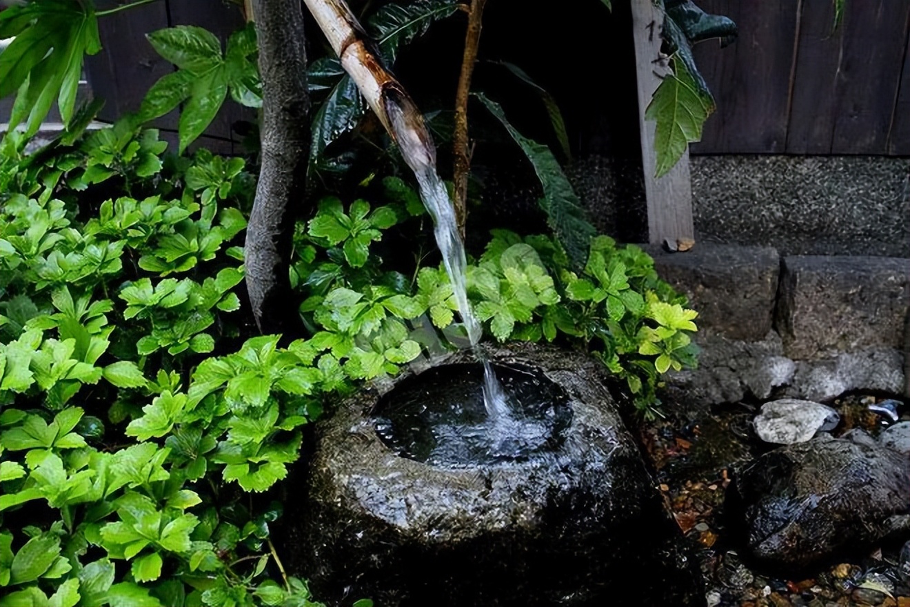 日料网红清酒,网红白酒清酒