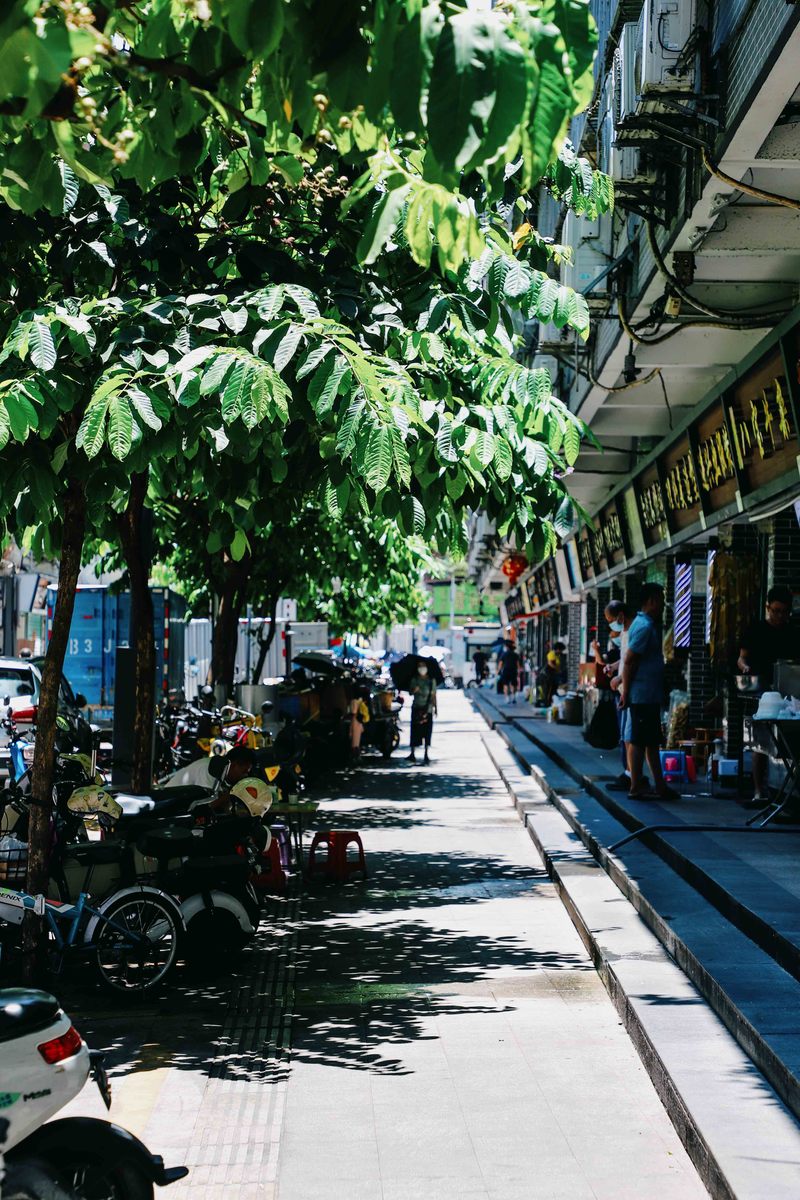 深圳ENJOY｜城市漫游指南·蛇口