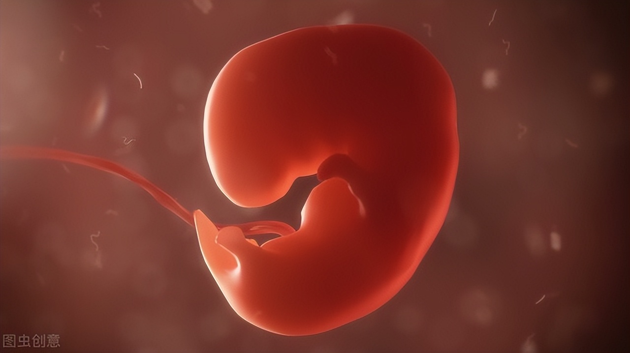 冷冻胚胎移植几天验孕棒能测出来,冷冻胚胎移植第6天右下腹一直痛